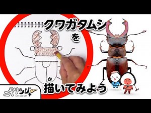 【子ども向け】幼児から描ける昆虫の絵！プロのイラストレーターが教える子供にやさしいクワガタムシの描き方✨動画を見ながら一緒に描いてみよう♪目指せ！お絵かき名人⭐｜ニギリンジャー｜知育｜beetle｜
