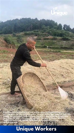Traditional Grain Processing: A Farmer's Hard Work in Rural China