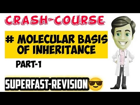 "Molecular Basis Of Inheritance"🔥🔥(part-1)| Neet 2021 Crash Course✌ | Neet Revision