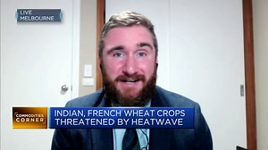 Grain markets likely to be saddled with very high prices this year, commodity analyst says