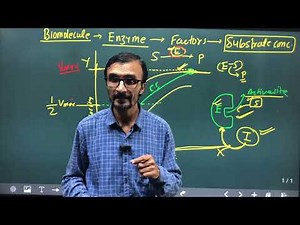 Biomolecule | Enzyme | Factor | Km Value Questions Concept