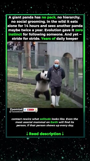 LONELIEST ANIMAL FOUND HER PERSON