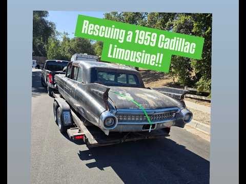 RESCUING A 1959 CADILLAC LIMOUSINE! #1959cadillac #1959cadillaclimo #limo #cadillac #subscribe