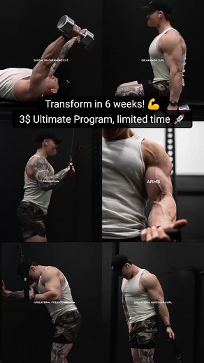 Intense Arm Workout for Muscle Building and Strength | 6-Week Transformation Program