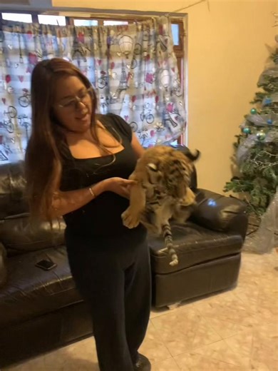 Has de cuenta mi vieja cuando anda en sus días 😅😅😅😅🤭🤭🤣🤣🤣🤣🤣🤣#siguemeee #comentaycomparte #compalalo #viralvideos #gatitabonita