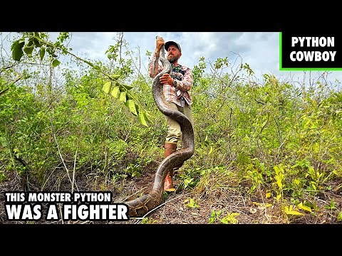 My Secret Weapon To Battling Florida's Invasive Python Problem
