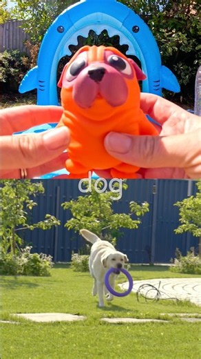 Learn Animal Names for Kids at the Shark Pool: Dog Crocodile Hamster Rooster Frog