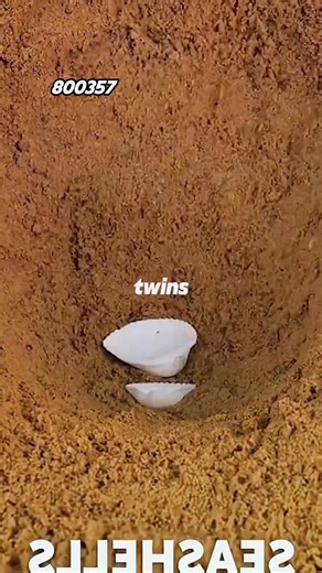 Engaging Storytelling: Discover the Full Narrative