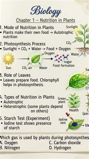 Hand notes | Nutrition in plants | Nutrition in animals #sciencenotes #biology #shortsviral