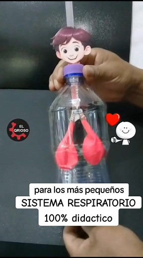 SISTEMA RESPIRATORIO 100 % DIDACTICO para los mas pequeños. #sistemare...