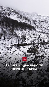 ❄️ Así se ve la primera nevada importante en la sierra de Hervás (Cáceres). El color blanco mitiga el negro del incendio de Jarilla. 📹 Javier Lumeras 📎 Lee la información completa en hoy.es | HOY.es