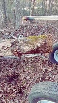 Lifting A Large White Oak Log Out Of A Ditch With Our Log Arch