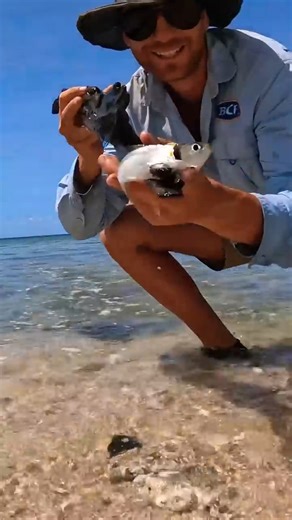 Luck or skill? 👀 | Back 2 Basics Adventures