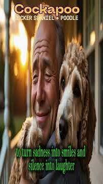“Cockapoo Dog Breed: The Cutest & Smartest Family Pet?”#dogcontent #dogstory #cockatails #poodlemix