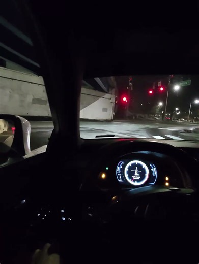 is350 muffler delete
