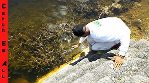 Why I Hate Snakehead Fish - The Ugly Truth Behind This Invasive Predator