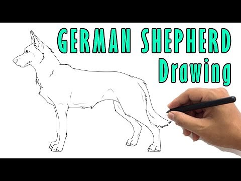 How to Draw a German Shepherd Drawing Step By Step | Easy German Shepherd Dog Sketch Tutorial