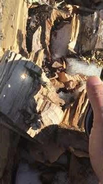 Starting a fire with magnifying glass..creating a hot ember