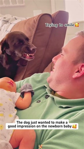 The dog's first time seeing a baby.🥰🐶 #dog #doglover #fyp #funny #dogs