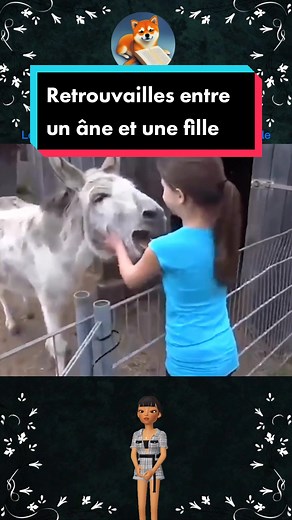 Retrouvailles émouvantes entre un âne et sa maîtresse