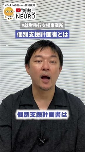 What is an "individual support plan" for employment transition support?