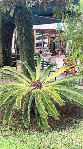 Малага. Malaga. #malaga #малага #испания #spain #exotic