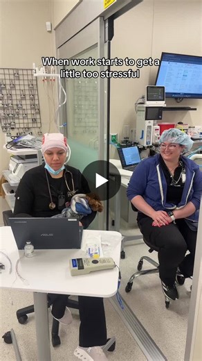 #socialmedia #contentcalendars | Amanda Zanganeh