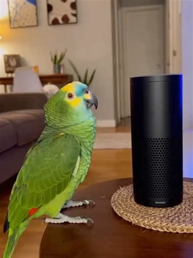 Controle de luzes com Alexa