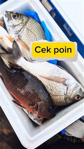 Cek poin mancing pakai perahu