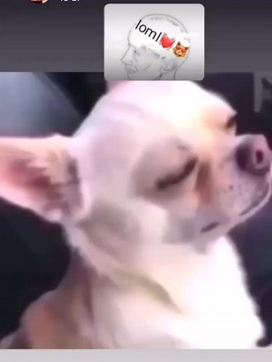 problematic_❤ on TikTok