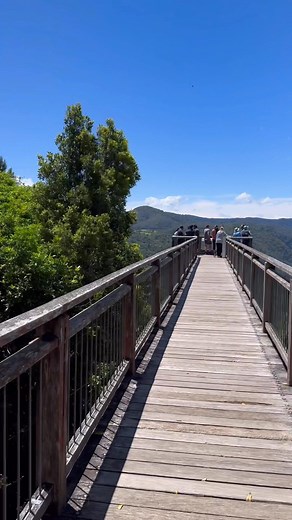 Beautiful Day | Mel Mac