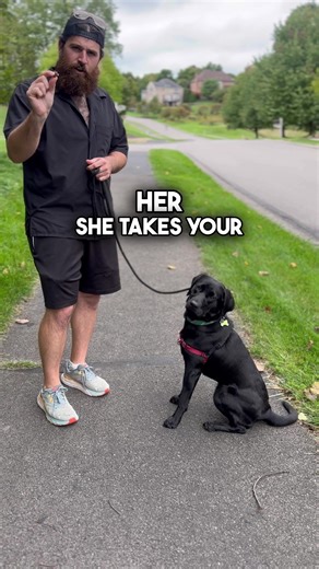 Stop Dog Bites When Feeding Treats