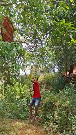 strategy for catching weasels #nature #viralshorts