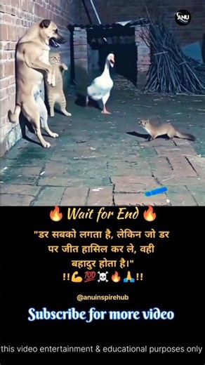 डर सबको लगता है😱 #motivation #success #inspiration #shortsfeed #shorts #ytshorts #trending #viral