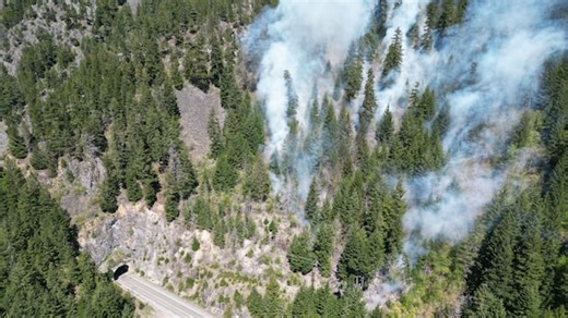Warm winter, drought could lead to busy wildfire season: B.C. Wildfire Service