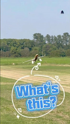How to name this kind of RC plane landing 😂 #rcplane #rcmodel #rcgeeks #rccrash