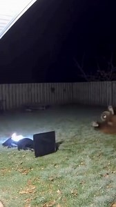 This is very f*nny 🤣 Follow for more updates!!! #olivepetersupdate🫒🫒 #everyone #highlights #highlightsシ゚ #reelsviralシ | Olive Peters