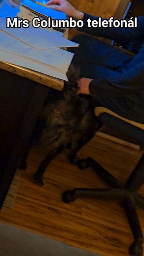 Mrs Columbo telefonálás közben mudi feneket vakar. Ezek után mondja bárki, hogy férfiak nem tudnak egyszerre több dologra figyelni! | Élet a Yukonban