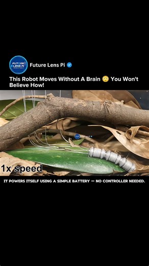 Soft Robots That Move Without Electronics – The Future of Self-Powered Machines! #robot #shorts