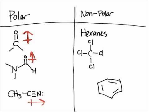 Solvent Effects on Sn2 Reactions
