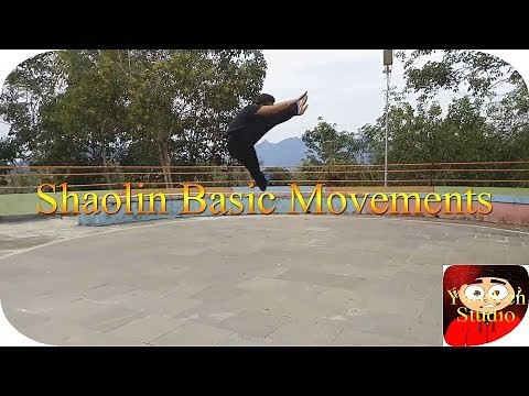 Shaolin Kung Fu 18 Basic Movements