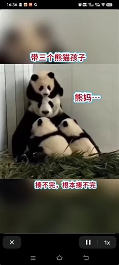 带三个娃的妈妈 ❤️❤️❤️❤️❤️❤️❤️❤️❤️❤️❤️❤️❤️❤️❤️❤️❤️❤️❤️❤️❤️❤️#hbx #koparispf #kiyananthony #gfvip6 #opf