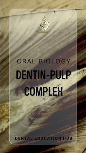 Tertiary dentin | Dentin pulp complex histology