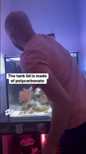 How I Keep My Octopus In Her Tank