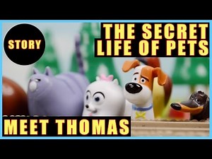 The Secret Life of Pets Meet Thomas | Thomas and Friends Story Full Episode