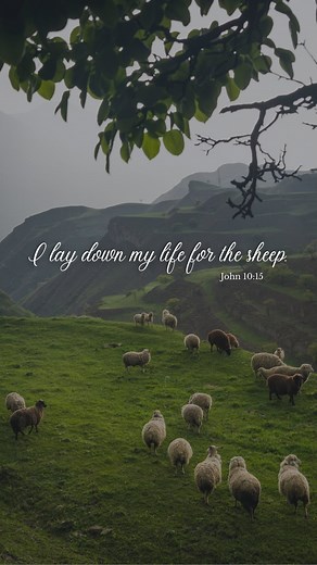“I lay down my life for my sheep.” -John 10:15 Excerpt from 𝘏𝘦 𝘒𝘯𝘰𝘸𝘴 𝘠𝘰𝘶: 𝘍𝘰𝘭𝘭𝘰𝘸𝘪𝘯𝘨 𝘖𝘶𝘳 “𝘖𝘯𝘦 𝘣𝘺 𝘖𝘯𝘦“ 𝘚𝘢𝘷𝘪𝘰𝘳 | Hank Smith