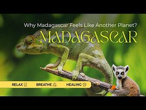 Why Madagascar Feels Like Another Planet? | Relaxing Travel Documentary