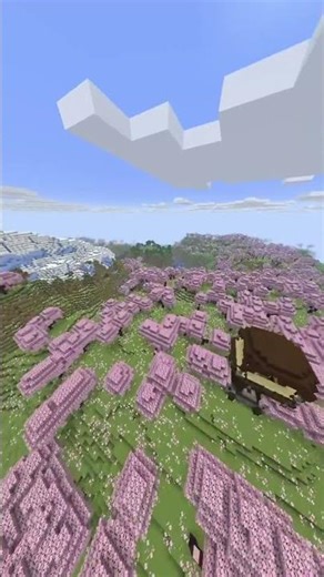 How it started in Minecraft...