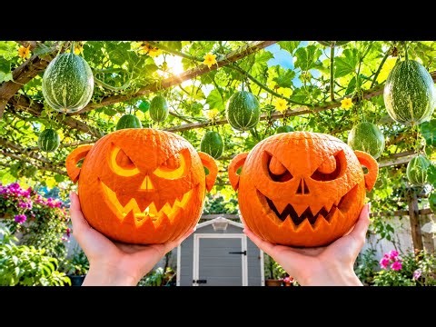 Making Epic Halloween Pumpkins Step-by-Step
