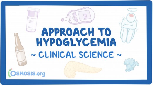 Approach to hypoglycemia: Video & Meaning | Osmosis